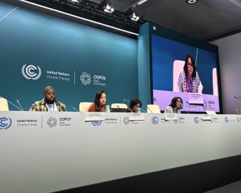 COP29 Carbon markets FoEI Press conference