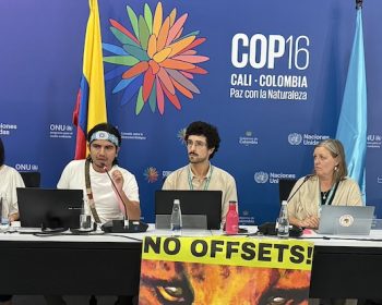 Press release CBD COP16