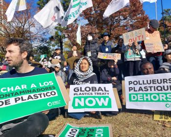 Demonstration before UN Plastics Treaty INC-5 in Busan, South Korea