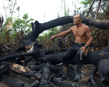 a man sitting on a trunk in a deforested area