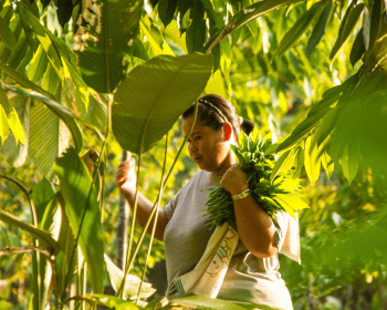 agroecology